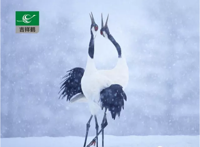 MG動畫淺談聲音的創作 MG動畫淺談聲音的創作